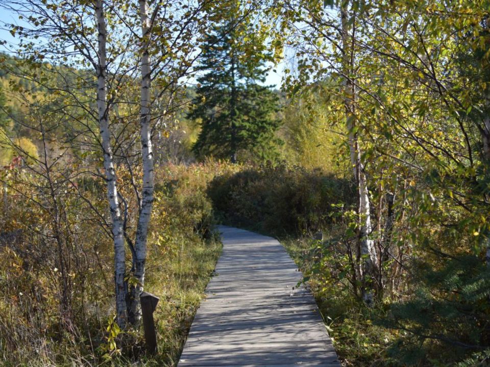 Долина Мечтателей в пос Листвянка на Байкале