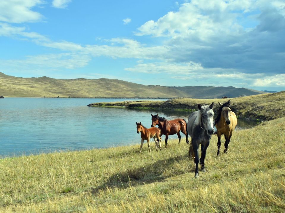 Юг острова Ольхон