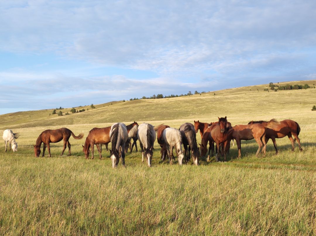 Бухта Ая озера Байкал. Бухта Ая летом. Туман над бухтой Ая на озере Байкал. Туры на Байкал и остров Ольхон. Экскурсии на Байкал из Иркутска: Тажеранские степи, бухта Ая, остров Ольхон.