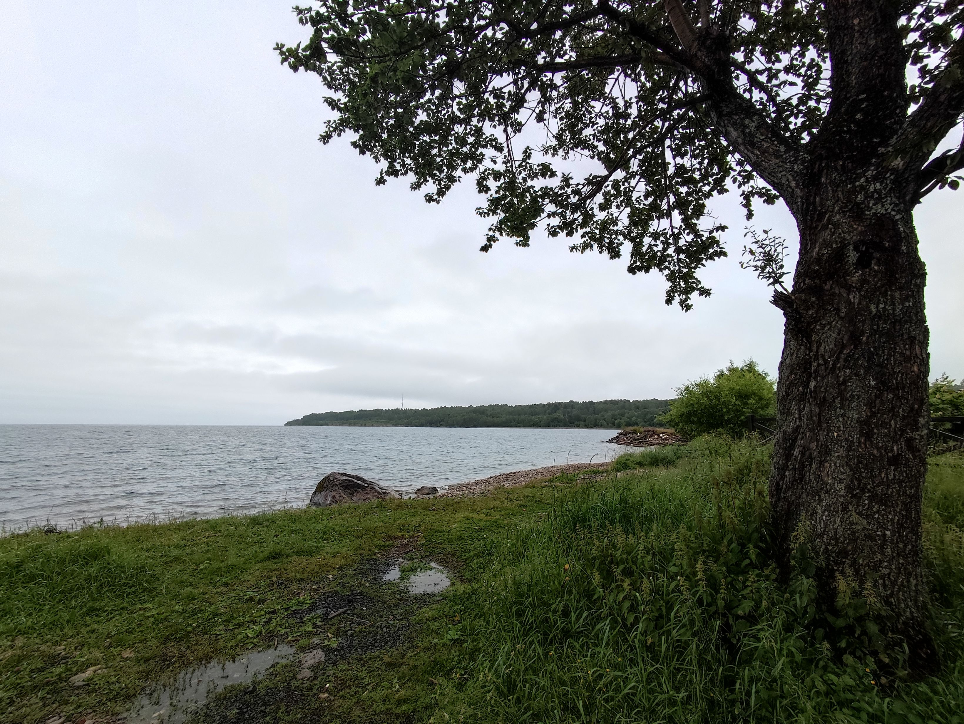 Экскурсия в Байкальский заповедник пос Танхой из Иркутска за 1 день.