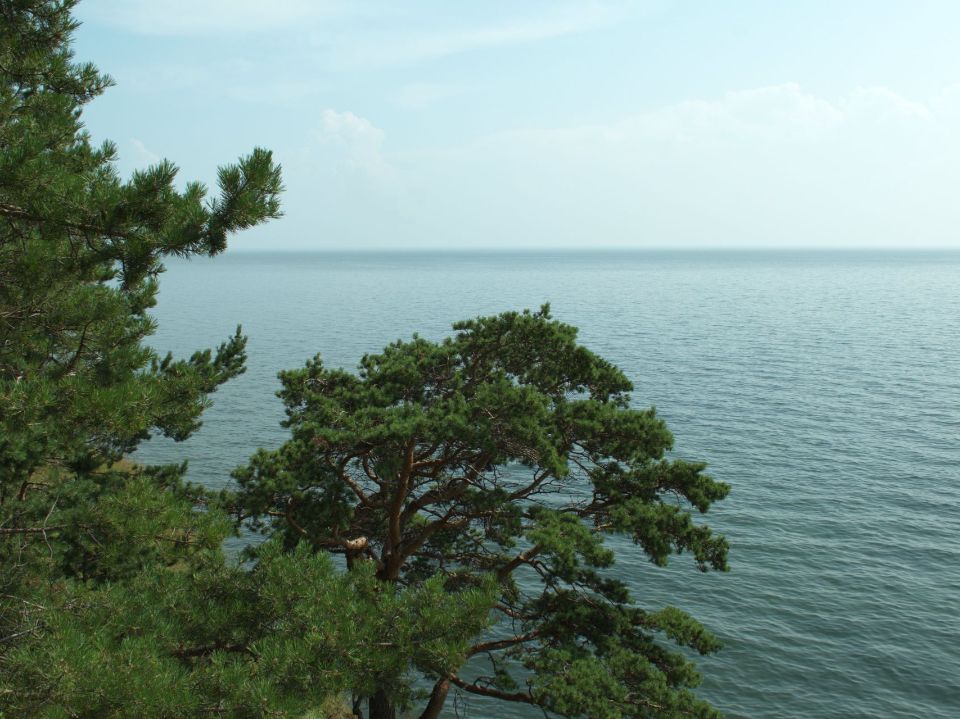 Большое Голоустное