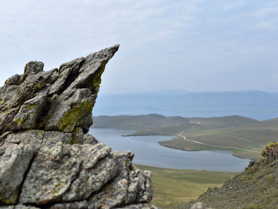 Скальник Трезубец
