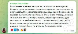 Отзыв