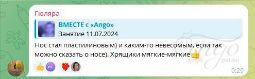 Отзыв