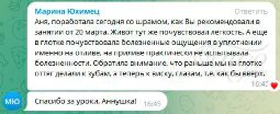 Отзыв