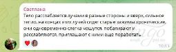 Отзыв