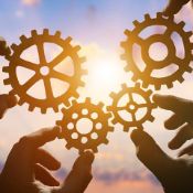 Опыт работы