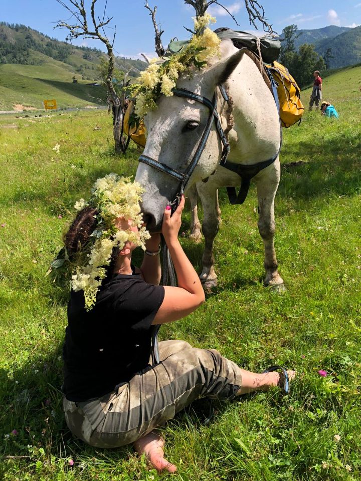 прокат лошадей