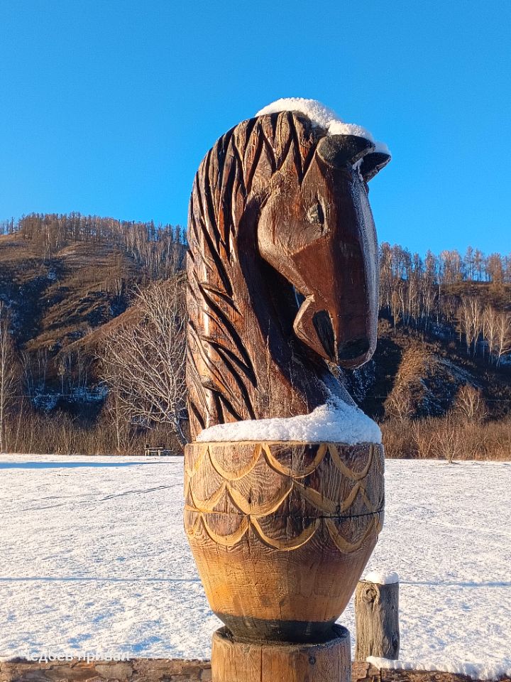 конная прогулка зимой