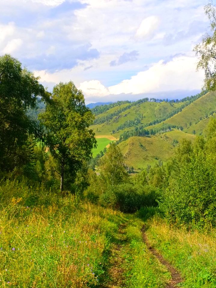 Пейзажи конной прогулки на Алтае