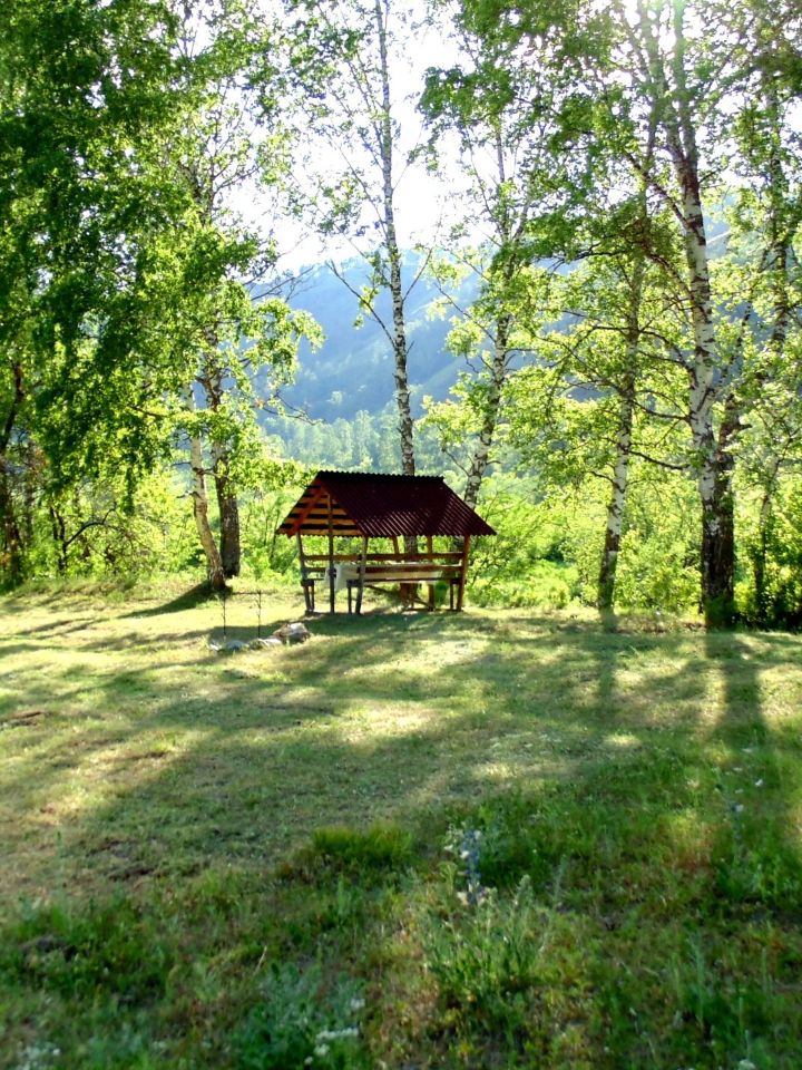отдых у реки