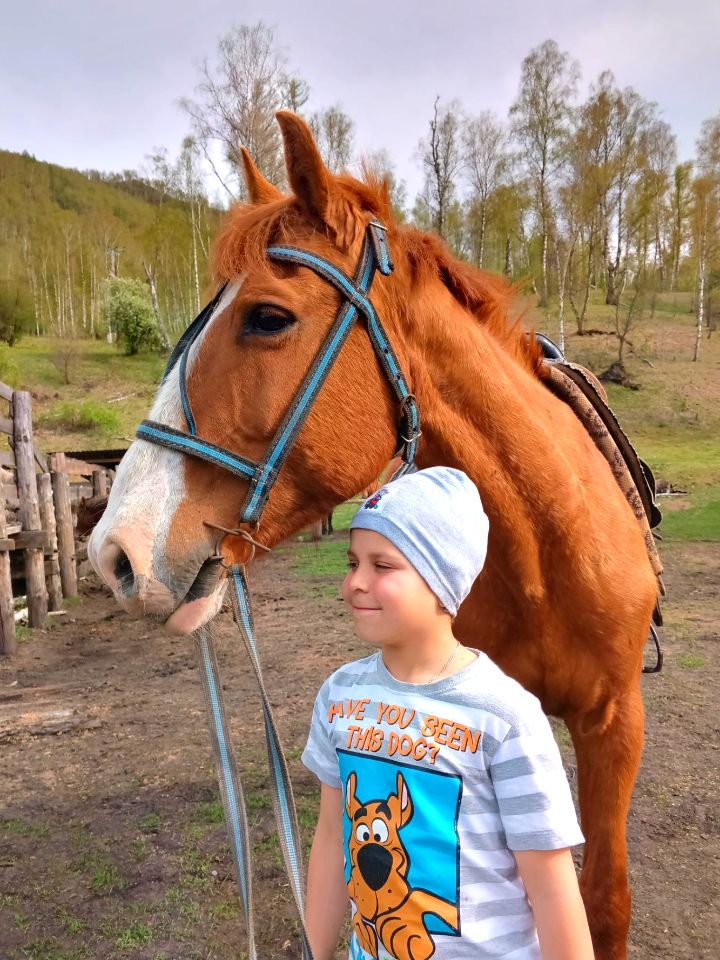 Конные прогулки на Алтае