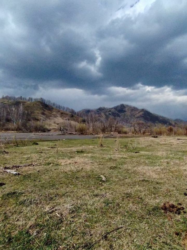 Погода на Алтае