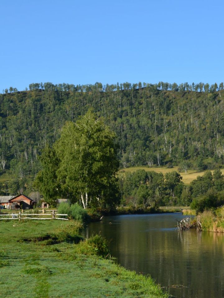 Отдых в Горном Алтае