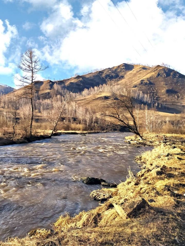 Весна в Горном Алтае