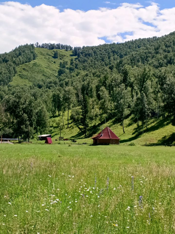 большая территория