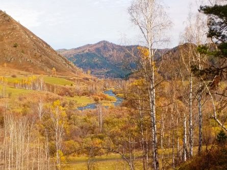 конный прокат