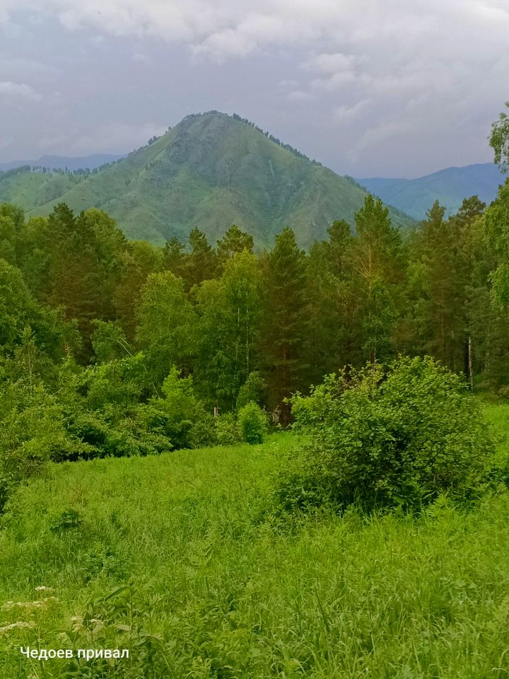 горы алтая