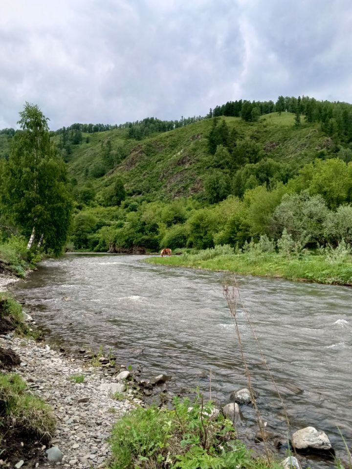 кемпинг в горах