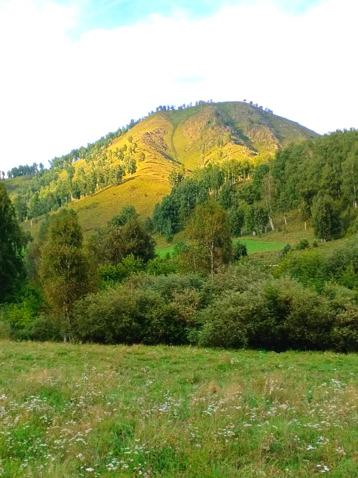 Конные прогулки весной