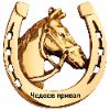 Отзывы клиента
