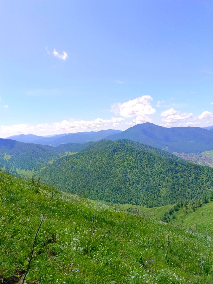 Конные прогулки весной