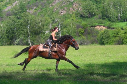прокат лошадей на алтае