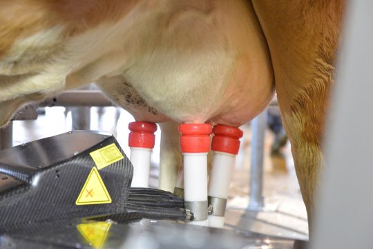 двойные трубки шланги для робота А4 А5 робозип robozip 5.9700.2106.0 222137 