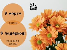 05 марта 2026 — К 8 Марта в ИЗОстудии запустили праздничную акцию Центр объявил специальное предложение для новых клиентов: первые восемь участников могут получить скидку 80% на первое занятие в ИЗОстудии. Акция действует ограниченное время.