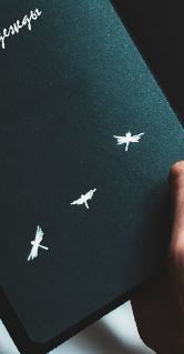 Индивидуальные форзацы и нахзацы