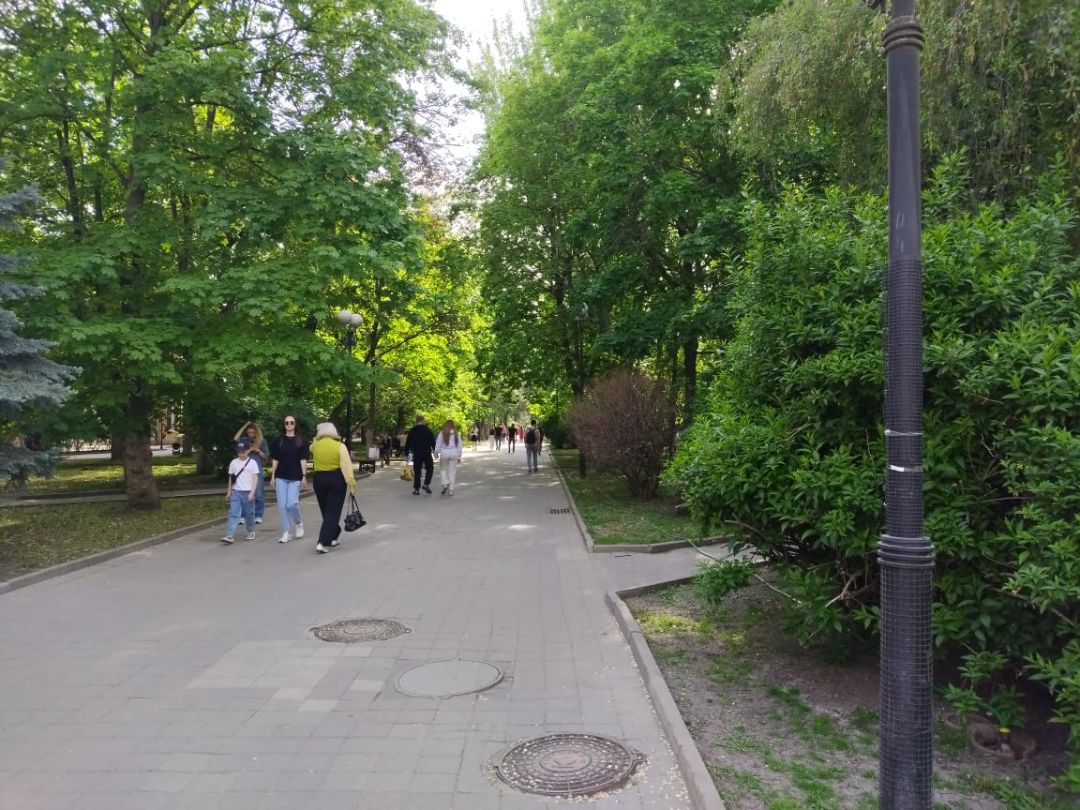 Пушкинская улица Ростова-на-Дону