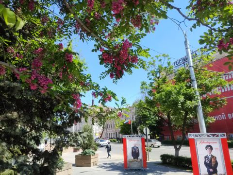 Большая садовая Ростова-на-Дону