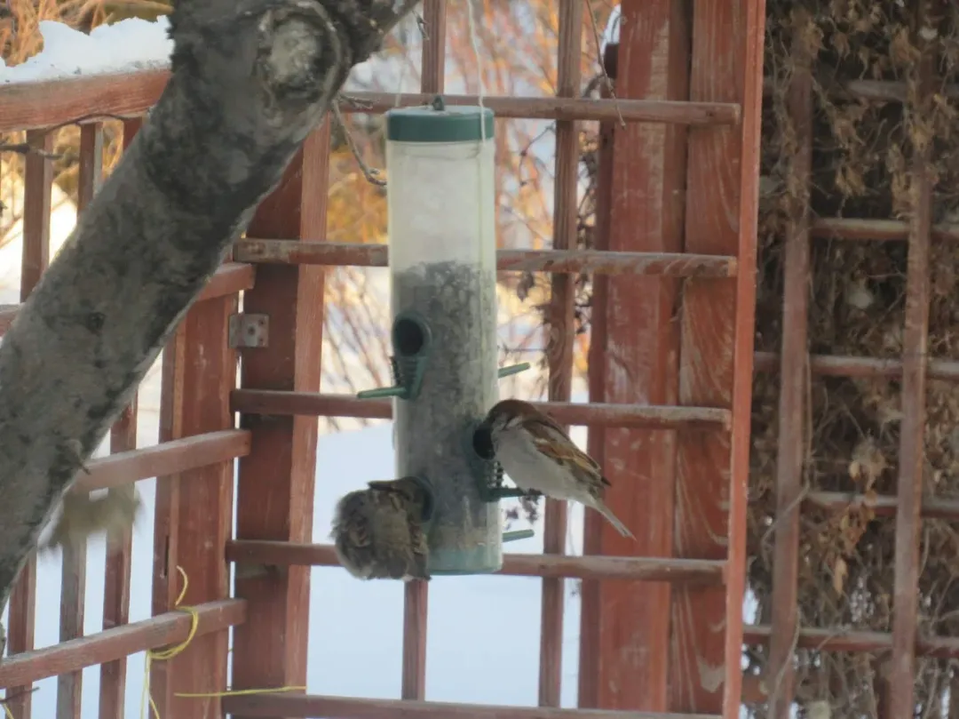 Люди Экологии