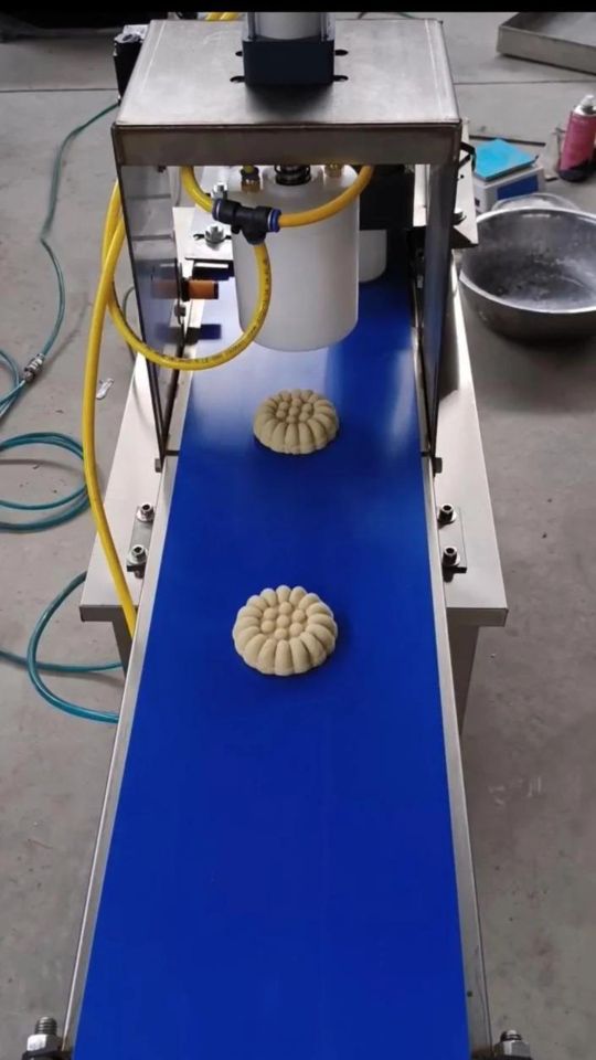 Оборудование для производства печенья с пресс формой