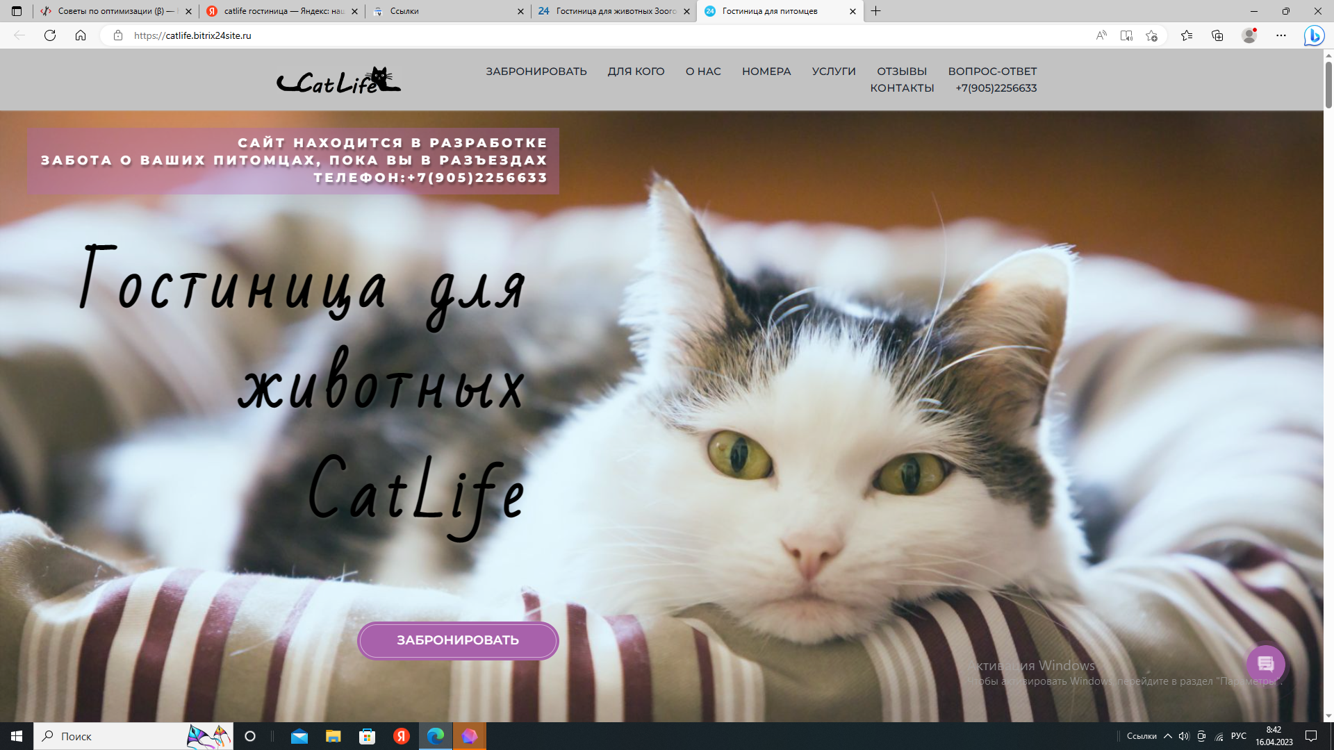 Гостиница для животных CatLife