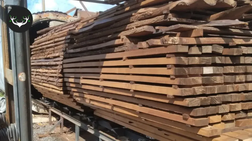 Фото производства бани