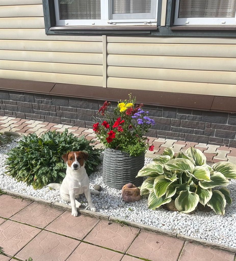 Вазон. Цветная 3д печать бетоном. Графит. ОСНОВАНИЕ