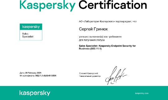 Kaspersky партнер