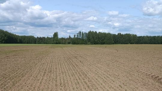 В Нолинском районе Кировской области завершен яровой сев 2025 года