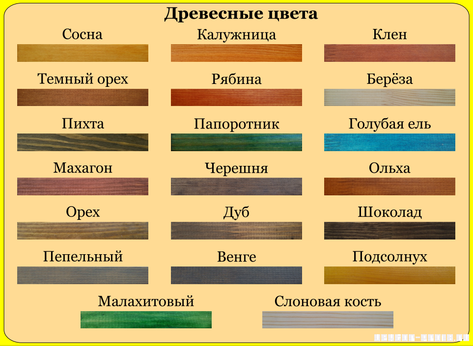 Цвет рябина это какой цвет фото