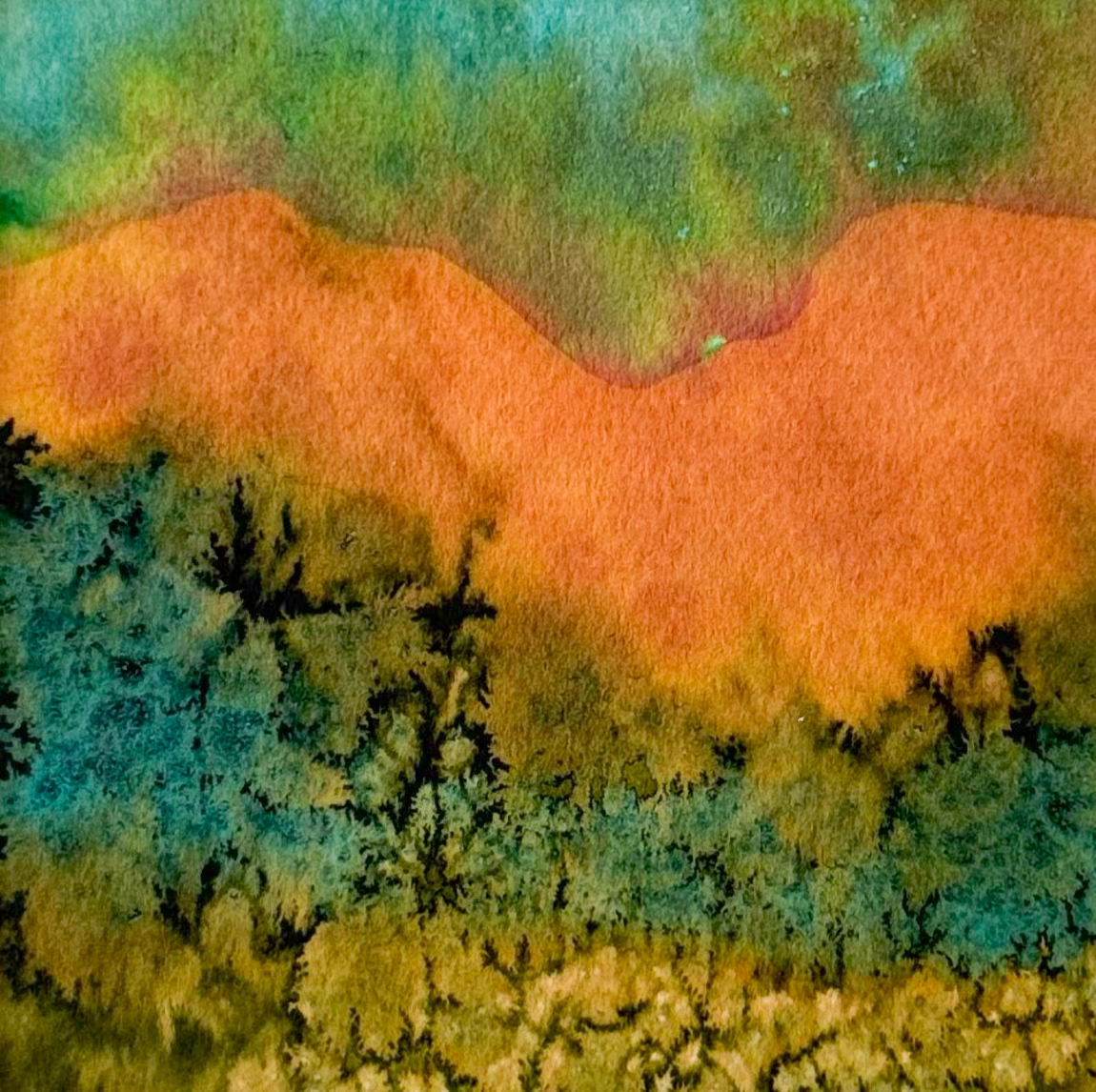 Графика из серии Кавказ, автор Анастасия Попова