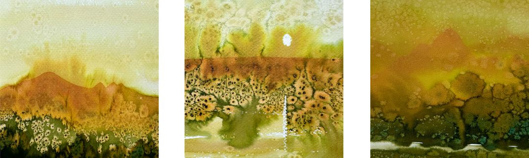 Графика из серии Кавказ, автор Анастасия Попова