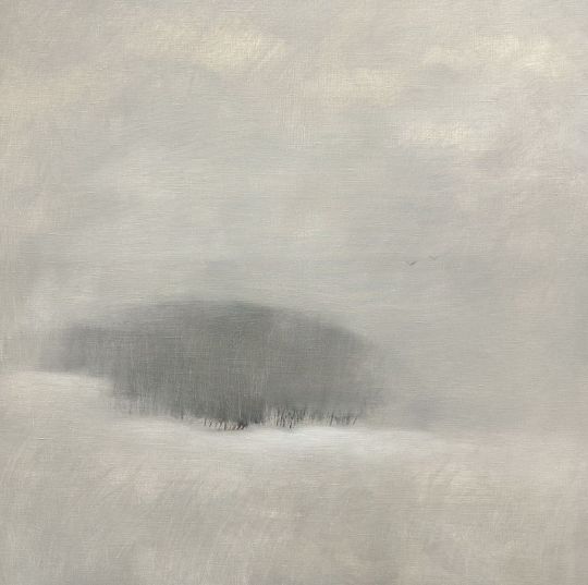 Зимний пейзаж маслом, серия Белым-бело, купить картину Анастасии Поповой