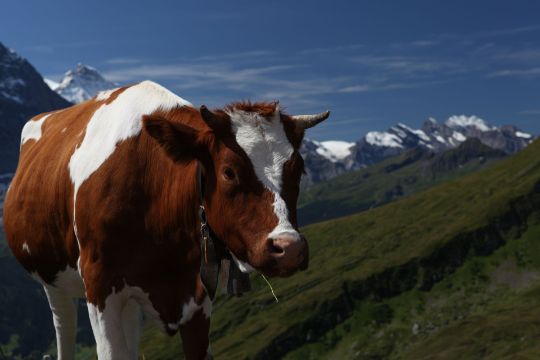 Аккумулятор для FPV 1