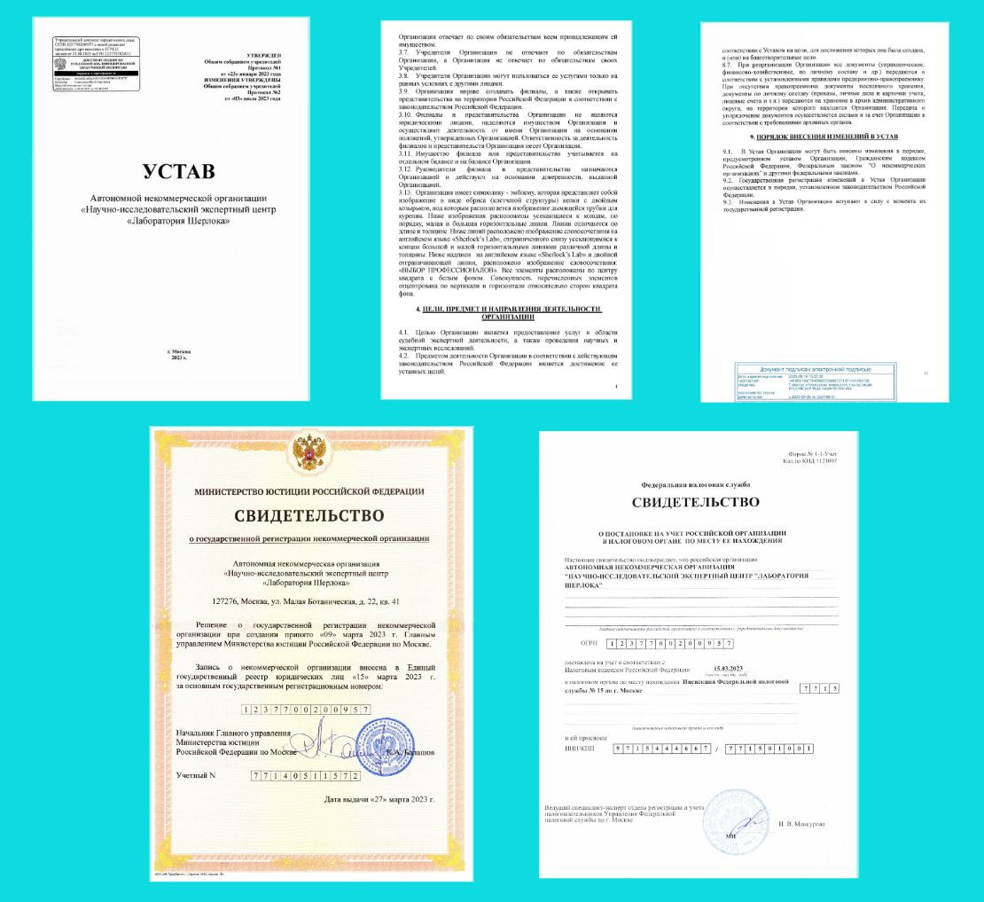 Независимая экспертиза