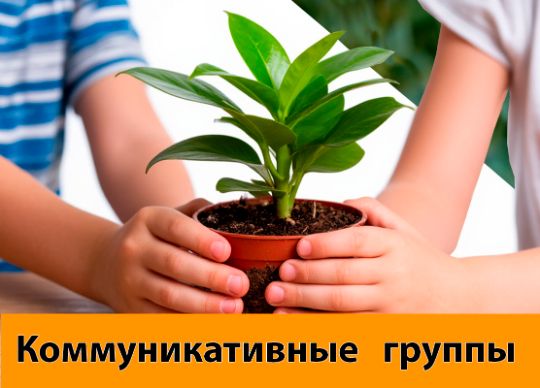 коммуникативные группы для детей с ОВЗ
