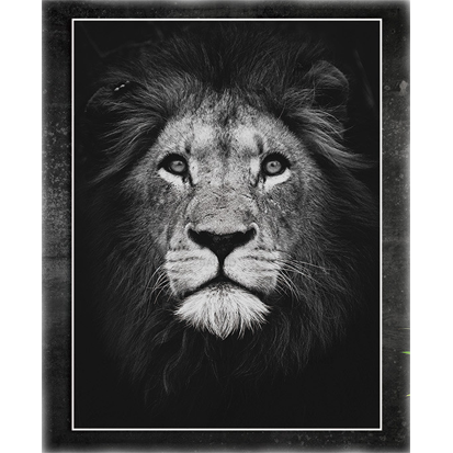 Изготовление плакатов.