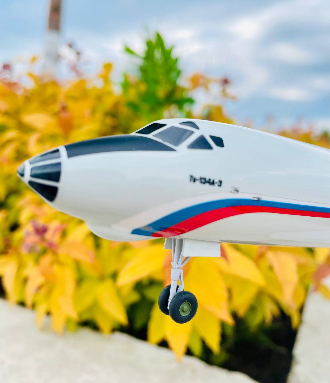 Модель самолета ТУ-134А 1:100