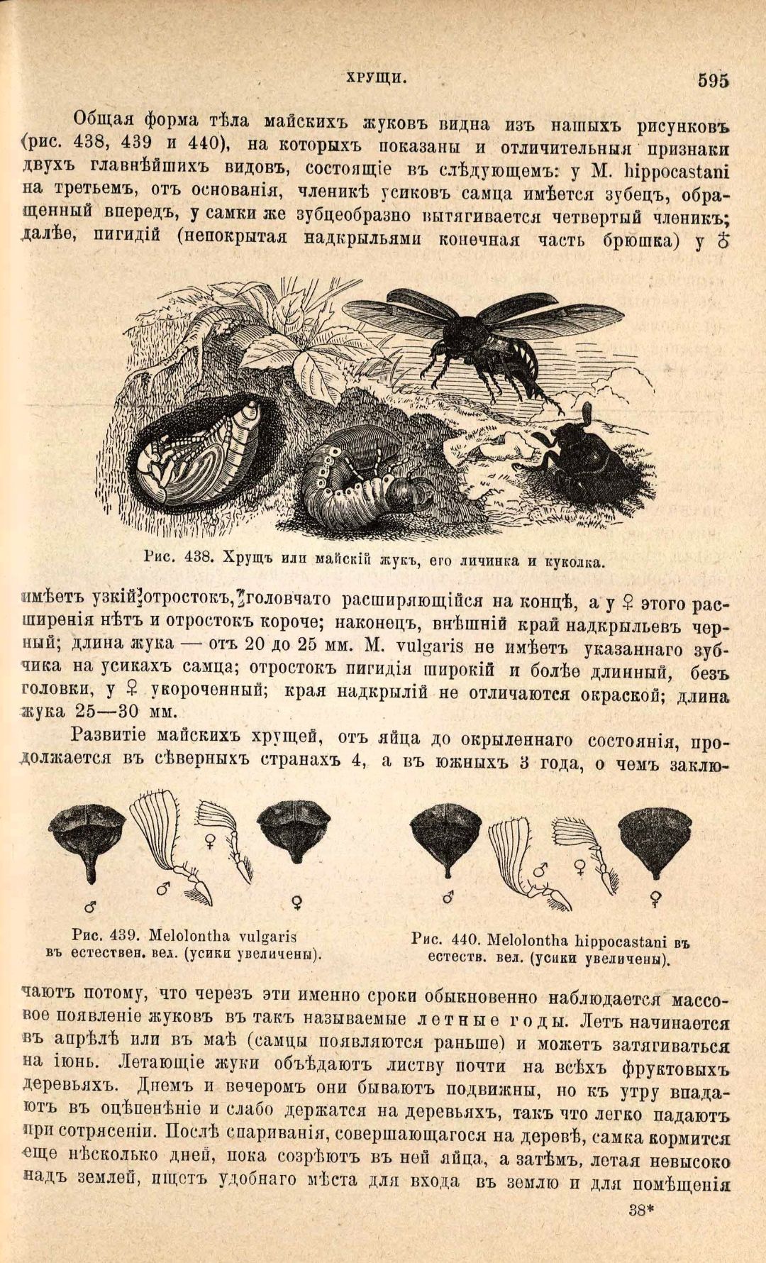 • Руководство к плодоводству для практиков по Гоше : (Плодоводство промышленное и любительское) : с 800 политипажами. – 2-е русское издание, вновь переработанное и значительно дополненное / под общ. ред. А. Ф. Рудского ; при участии Ф. В. Аксютина, Н. Н. Бетлинга, В. И. Варлиха и др. – Санкт-Петербург : Издание А. Ф. Девриена, 1899 – 1900. – 24 см. (инв. номер Р 831.511).