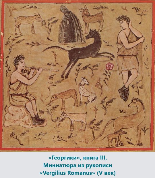 «Георгики», книга III. Миниатюра из рукописи «Vergilius Romanus» (V век). Источник изображения: https://ru.wikipedia.org/